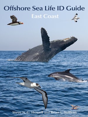 cover image of Offshore Sea Life ID Guide